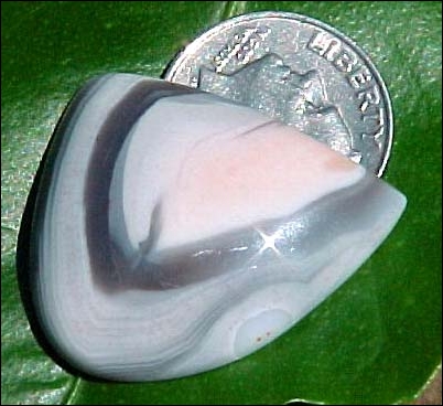 FORTIFICATION PATTERN AGATE DESIGNER CABOCHON – 20+ Ct.